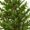 3.5ft. Olive Cone Topiary Tree in White Planter